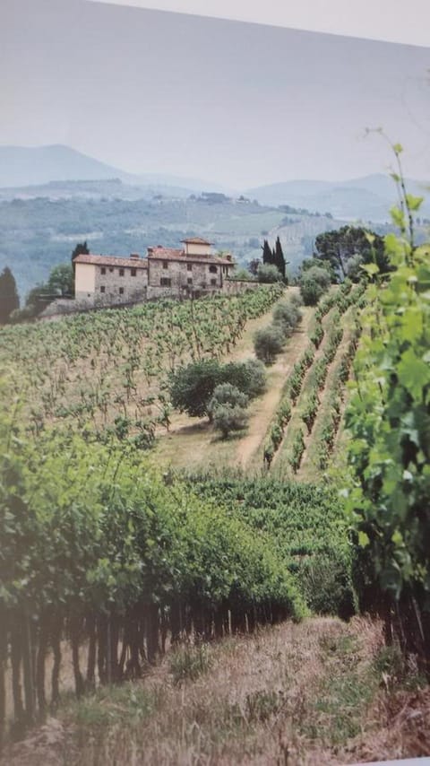 Natural landscape