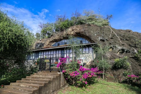 Property building, Natural landscape, Garden, Garden view