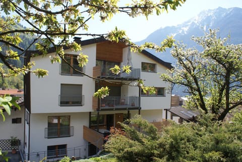 Property building, Spring