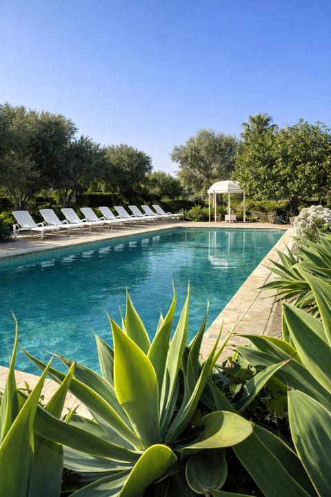 Spring, Day, Garden, Garden view, Pool view, Swimming pool, sunbed
