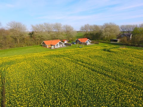 Spring, Bird's eye view
