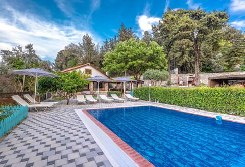 Property building, Patio, Spring, Day, Garden, Garden view, Pool view, Swimming pool, sunbed