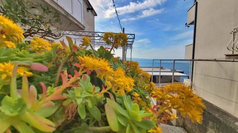 Property building, Balcony/Terrace, Sea view
