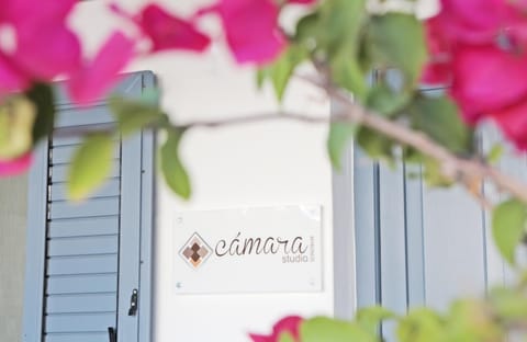 Facade/entrance, Spring, Day, Property logo or sign, Winter, Summer, Decorative detail, Autumn, On site
