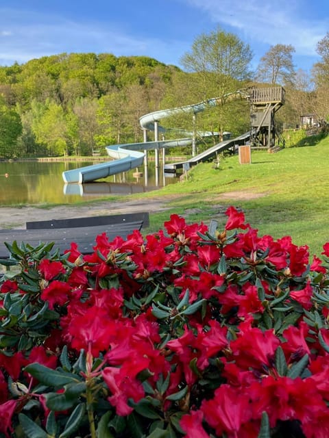 Randbøldal Camping & Cabins Cabin in Region of Southern Denmark