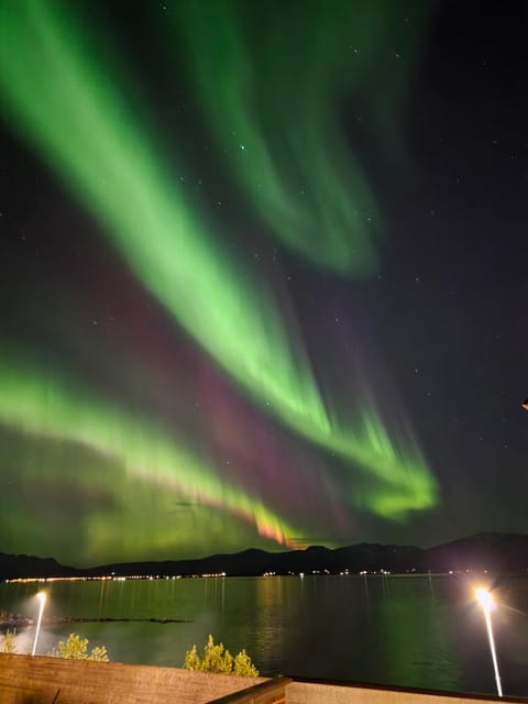Night, Natural landscape