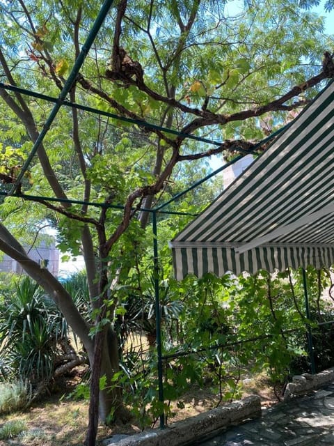 A big apartment for a big holiday! Apartment in Split-Dalmatia County