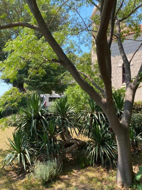 A big apartment for a big holiday! Apartment in Split-Dalmatia County