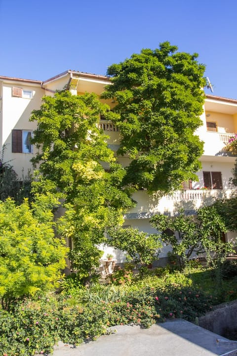 Property building, Garden view
