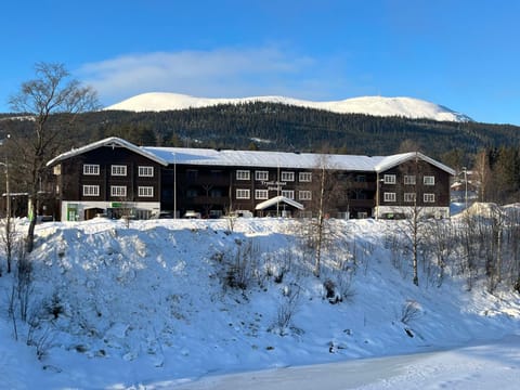 Property building, Day, Winter