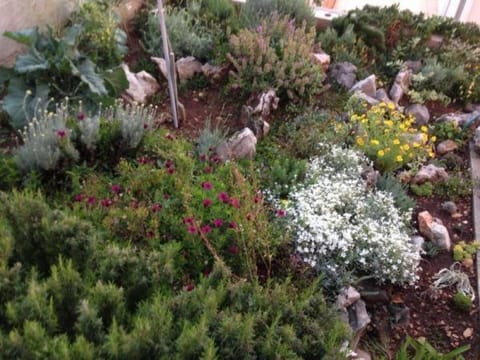 Location, children, Family