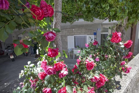 Location, children, Family