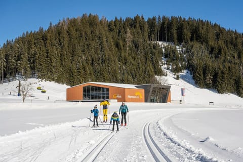Natural landscape, Winter, Skiing, Area and facilities