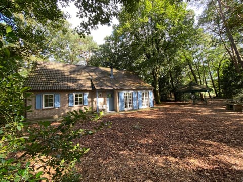 Property building, Natural landscape, Garden, Garden view, pet friendly