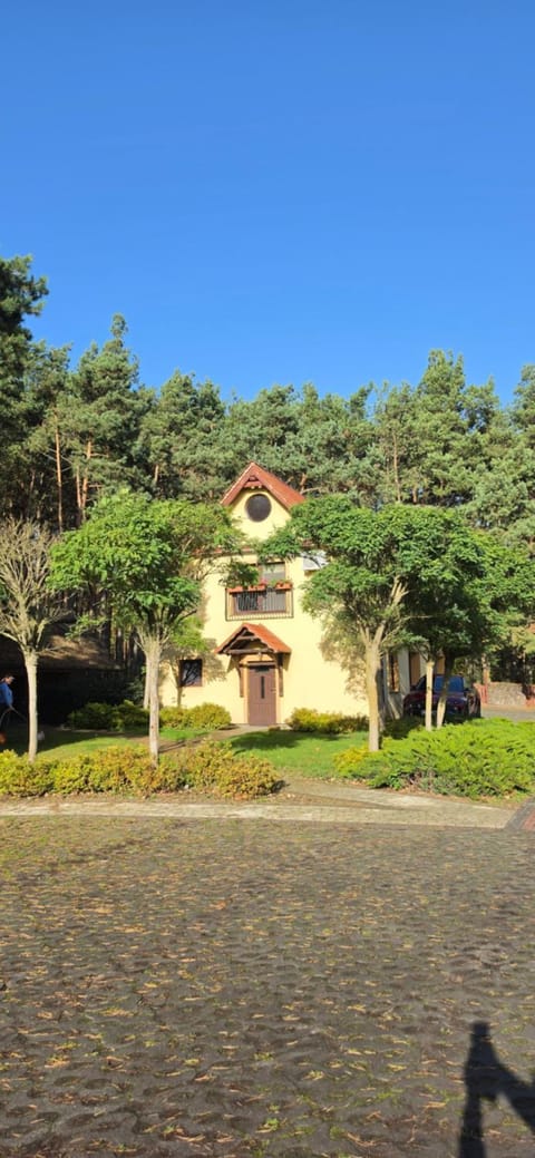 Property building, Spring, Day, Garden, Garden view