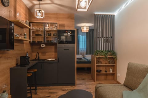 Bed, TV and multimedia, Kitchen or kitchenette, Living room, Seating area, dishwasher, oven, kitchen