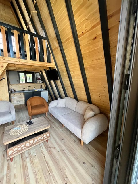 Living room, Photo of the whole room, Bedroom, bunk bed