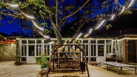 Night, Garden view