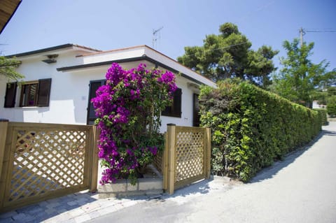 Property building, Garden, Garden view