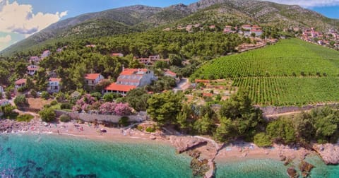 Bird's eye view, Beach, Text overlay, Garden view, Mountain view, Sea view