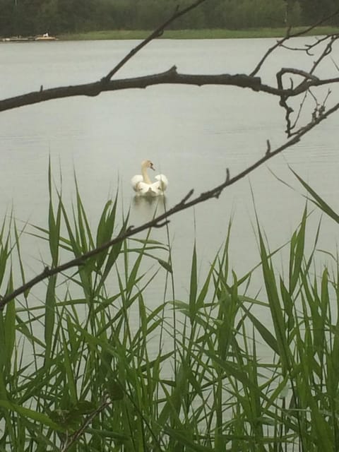Tamminiemen Lomamökit Chalet in Finland