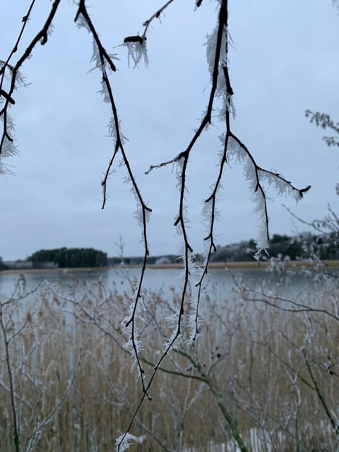 Natural landscape, Winter