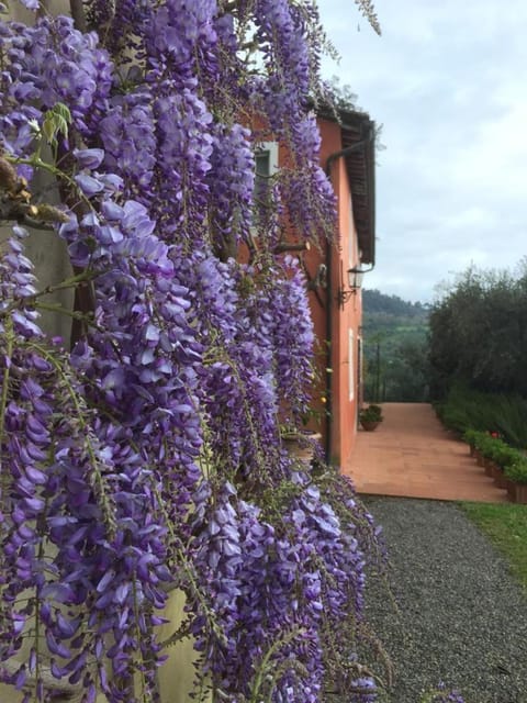 Property building, Facade/entrance, Garden