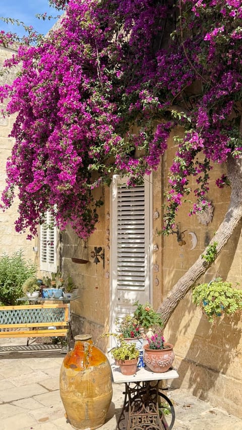Inner courtyard view