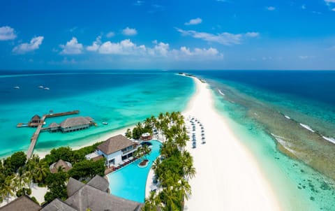 Lounge or bar, Beach, Swimming pool