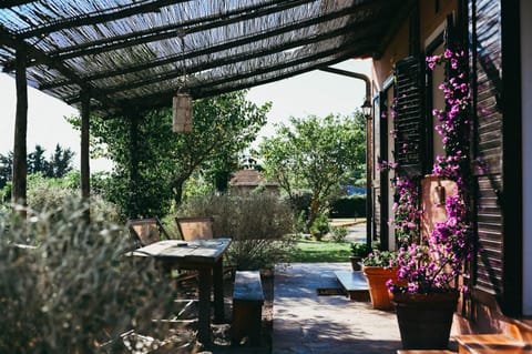 Property building, Patio, Spring, Day, Garden, Garden view