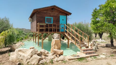 Property building, Natural landscape, Garden, Garden view, Swimming pool