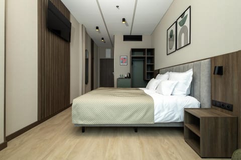 TV and multimedia, Photo of the whole room, Bedroom