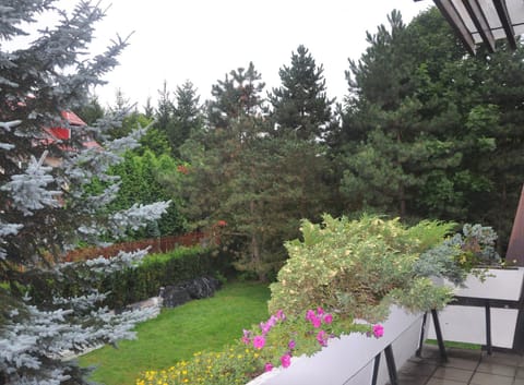 Garden, Balcony/Terrace, Garden view