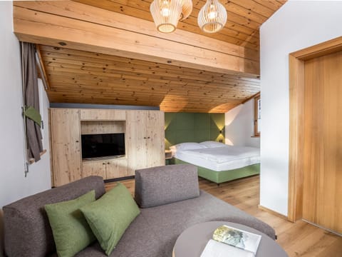 Bed, TV and multimedia, Living room, Seating area