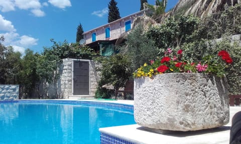 Patio, BBQ facilities, Garden, Swimming pool