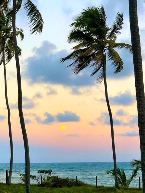 Natural landscape, Sea view, Sunrise