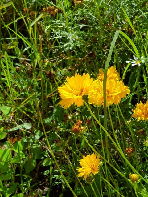 Kerikeri Blue Chair B&B Bed and Breakfast in Northland