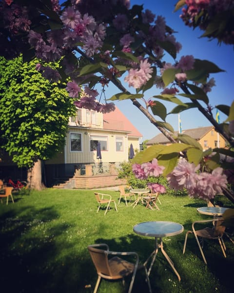 Property building, Patio, Garden