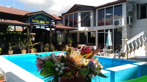 Summer, Garden, Swimming pool