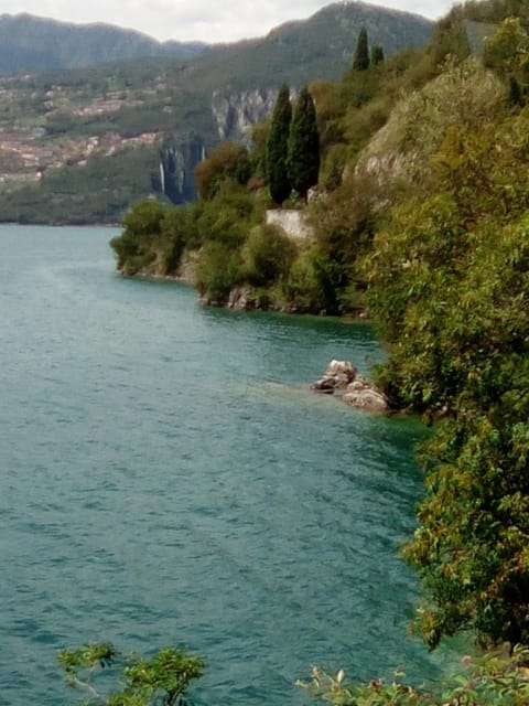 Natural landscape