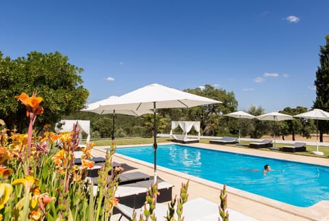 Lounge or bar, Area and facilities, Swimming pool