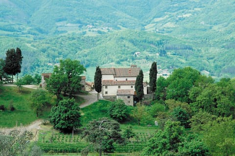 Facade/entrance, Natural landscape, Bird's eye view, Garden view