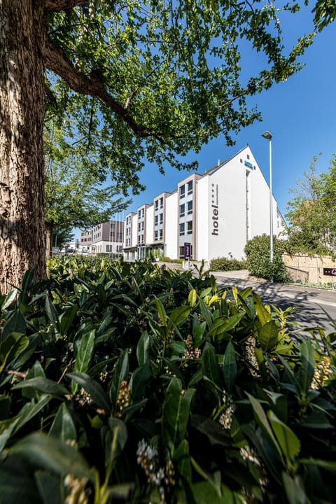 Property building, Spring