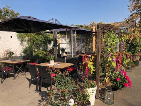 Property building, Patio, Garden, Decorative detail