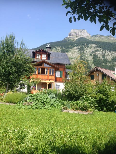 Property building, Summer, Garden