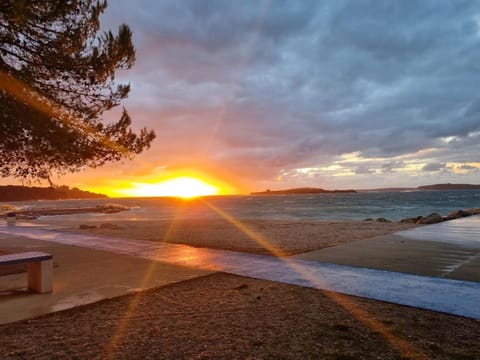Natural landscape, Beach, Sunset