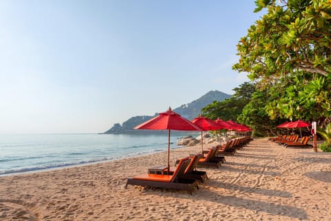 Beach, Beach