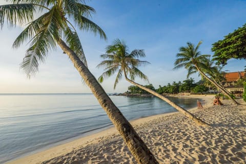 Day, Natural landscape, Beach, Sea view, Sunrise