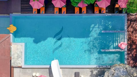 Pool view, Swimming pool