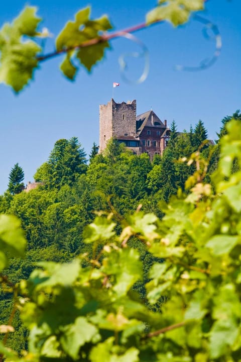 Natural landscape, Mountain view